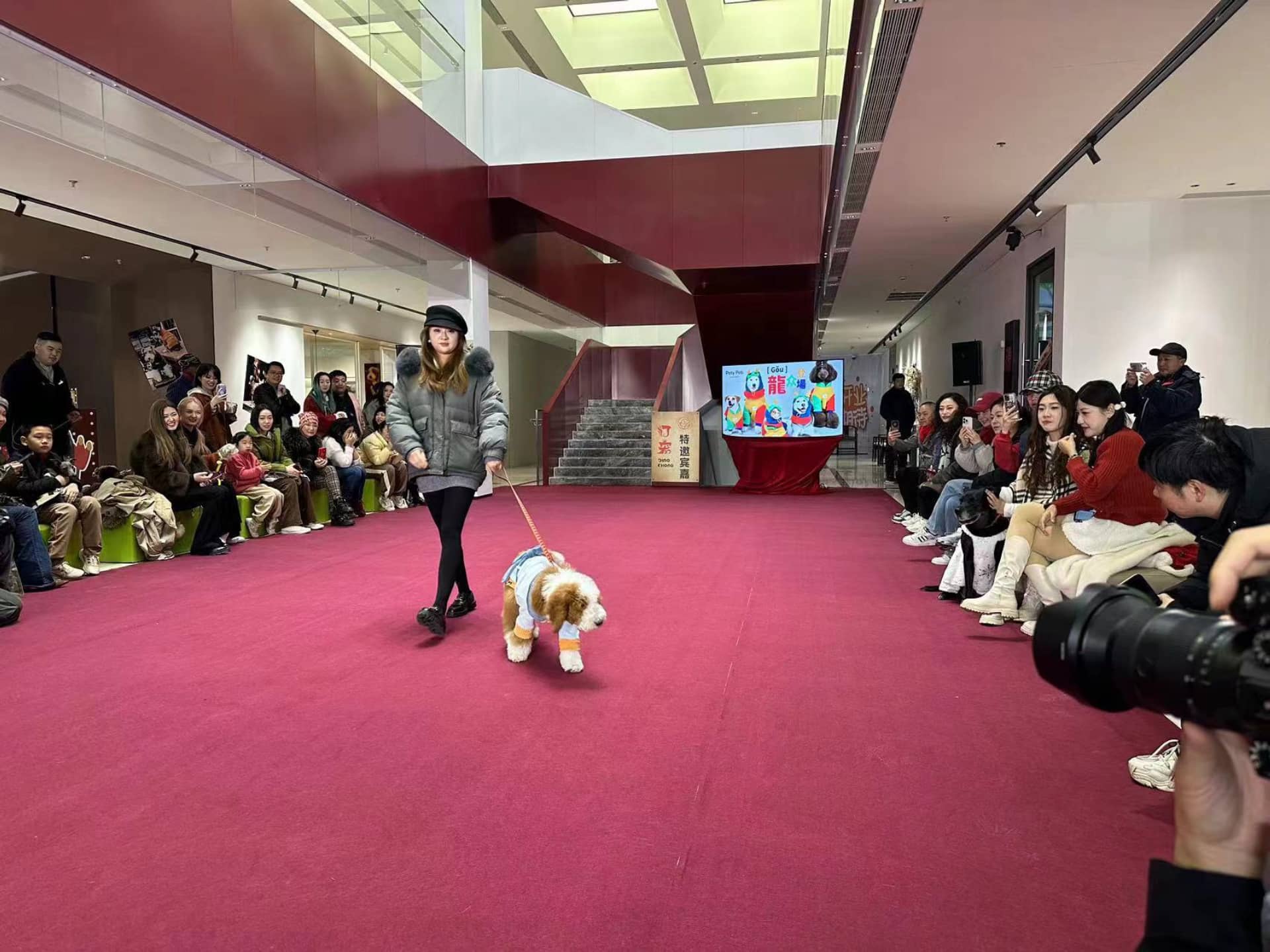 Pet Show